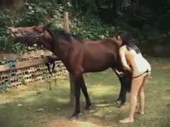 Woman excited to get fucked amazing stallion